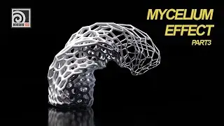 Mycelium Effect - Part 3 - Using transfer node to create mycelium growth