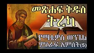 መጽሐፍ ቅዱስ ትረካ : የማቴዎስ ወንጌል ምዕራፍ አምስት - 5 Holy Bible audio matthew 5