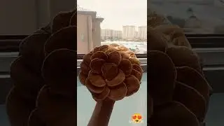 #pekk #fyp#🥞