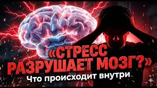 Почему вы не можете восстановиться? Мозг под прицелом стресса