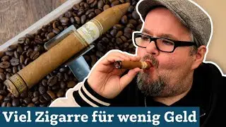 Flor de Oliva Connecticut Torpedo – Große Zigarre, kleiner Preis