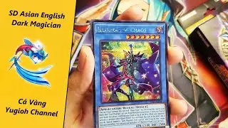 STRUCTURE DECK  「Illusion Of The Dark Magicians」 Cá Vàng Yugioh Channel
