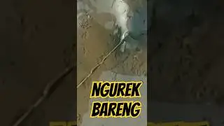 PERLAWANAN SENGIT!!! BELUT SAWAH #mancingbelut #ngurek #ngurekbelut #belutsawah