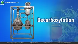 Decarboxylation stainless steel reactor