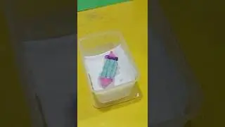 Magic Tissue Paper Activity #viralshorts #shorts #short #studentsactivity