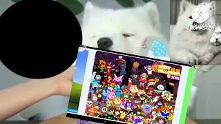 Mayapolarbear black hole add round 5