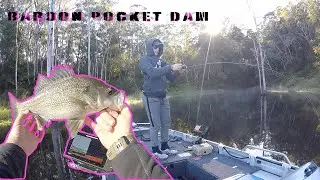 Baroon Pocket Dam (мягкие вибрации для баса)
