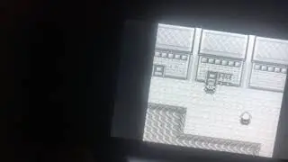 Pokemon glitch showcase- h Pok&eacute; (special stat 195)