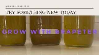 Cannabis infused Coconut Oil Production from Home Cultivation