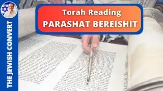 Torah Reading | Parashat BEREISHIT in Hebrew with English Translation