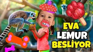 EVA HAYVANAT BAH&Ccedil;ESİNDE LEMUR BESLİYOR, MAYMUN SEVİYOR‼️