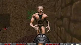 Unexpected blind Arch-Vile in Final Doom (Plutonia)