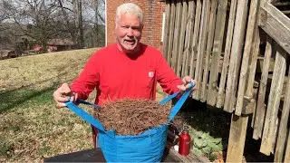 After 6 Months Of Leaves Tinder, Going Back To Pine Needles