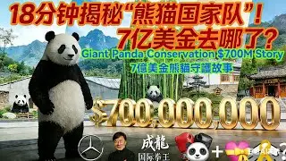 🍊🔥🐼7億美金背後的熊貓守護故事 揭祕「熊貓國家隊」四大金剛秘境！7億美金去哪了？賓士 Benz、成龍、國際拳王爭相認養的真相🐼🥰Giant Panda Conservation$700M Story