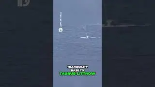 NASA's Orion Returns  Moon Mission Ends in Pacific Splashdown!