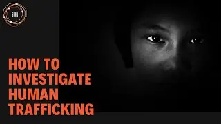 How to Investigate Human Trafficking