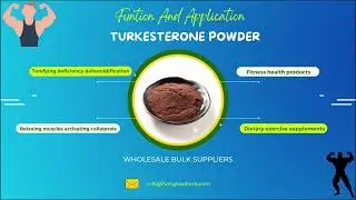 Plant extract powder for fitness and fat burning. Fitness Materials Extract Powder Suppliers