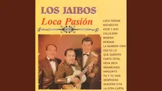 Perdon