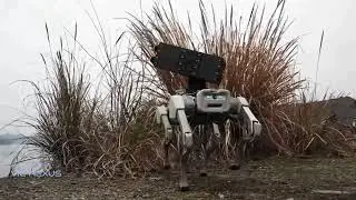 This Robotic Dog Carries More Than Just Cameras