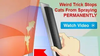 Cat Spray Stop &ndash; The Purrfect Solution - Review