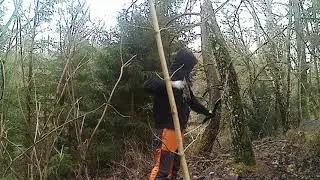 Survival Takedown Bow Penetration Test