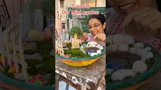 Tutorial DIY miniature garden #ytshorts