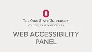 Best Practices for Web Accessibility Panel