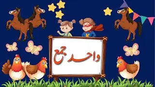 Wahid Jama- واحد جمع | Singular Plural in Urdu | Urdu Grammar