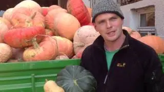 Der Gourmet-Kürbis-Bauer