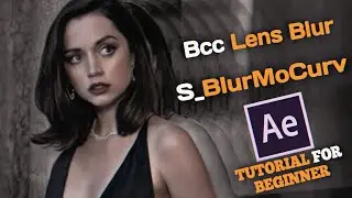 Popular BCC Lens Blur + Basics zoom + shake effects Tutorial |  VLN