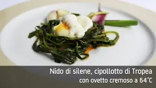 Nido di silene cipollotto di Tropea con ovetto cremoso a 64 gradi