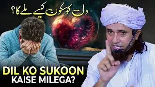 Dil ka Sakoon #islamicyoutube #quran #islamicvideo #muslimummah #islamicquotes