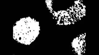 Marcel Sterling - Nieselpriem (Stereo Express Remix)