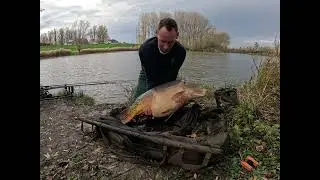 Karpervissen in het najaar