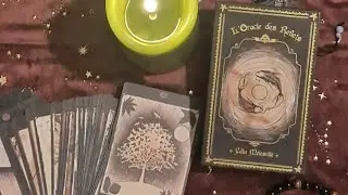 review L'Oracle des reflets 1 &egrave;re &Eacute;dition de Celia Melesville ( cadeau d'une Abonn&eacute;e)