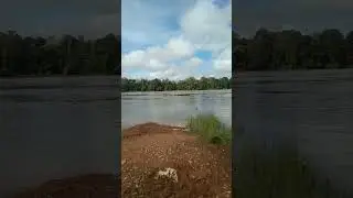 Kapuas River Transportation 11th #shorts #shortvideo #kalimantan #sungai #river #amazon