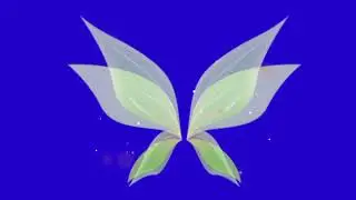 Green Screen - Pantalla Verde || fairy wings - Alas de hada || Chroma key