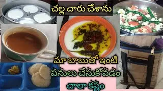 #vlog#morning my breakfast#ma papa kosame lunch challacharu