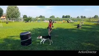 28/6/24 CHAPTER 1 figure 8 with barrels 2nd session step 1-2-3 nose touch