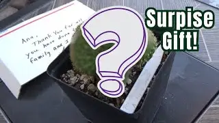 Surprise Gift from a Cactus Grower