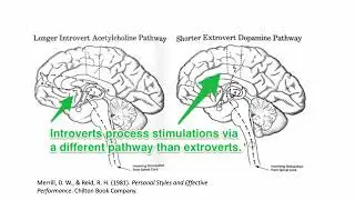 Synthesis of Personality Theories and Emotional Intelligence in the Workplace. Peivand Pirouzi,Ph.D.