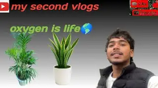@souravjvlogs Life is short oxygen are lot plant are so important for your home  #firstvlog #vlog 