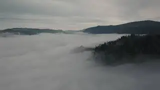 Misty Forest Drone | Free Videos | No Copyright