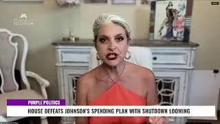 PURPLE POLITICS
