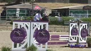 112S Cyndi Stainner on Ennis SR Novice Show Jumping Woodside August 2023