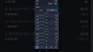 December 11, 2025 Pocket Option results.