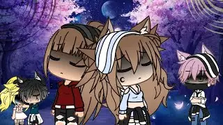 Tu n'es pas mon alpha !/ep 5 s2/ by {Wolf's studio}