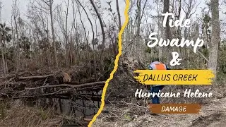 Hurricane Helene tree damage in Tide Swamp and Dallus Creek