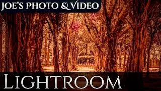 Создание фотографии в осенних тонах | Урок по Lightroom 6 и CC