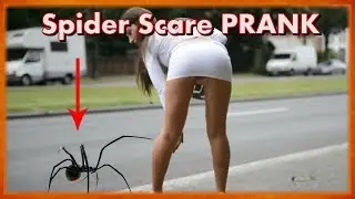Funny Spider Scare PRANK Homes & Public Compilation [NEW] November 2017